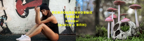 стаф Алексин