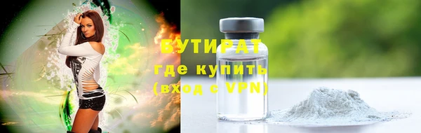 стаф Алексин