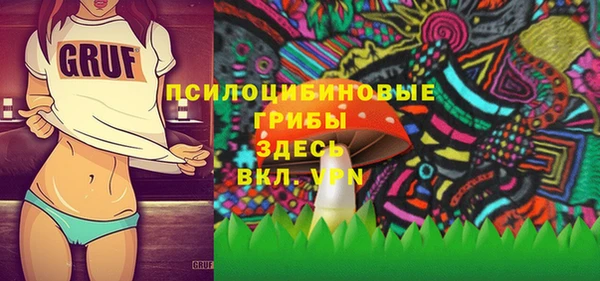 стаф Алексин