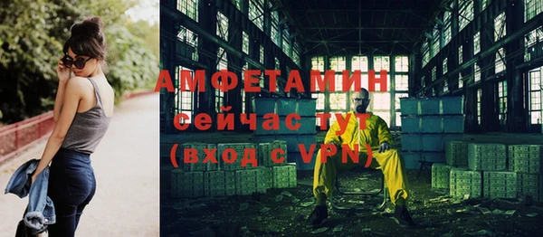 стаф Алексин