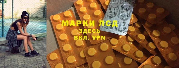 стаф Алексин